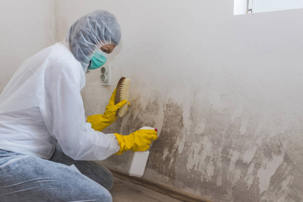 Best Forensic Mold Investigation  in Laguna Heights, TX