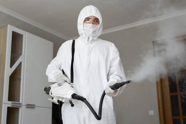 Why You Should Choose Our Mold Remediation Services in Laguna Heights, TX